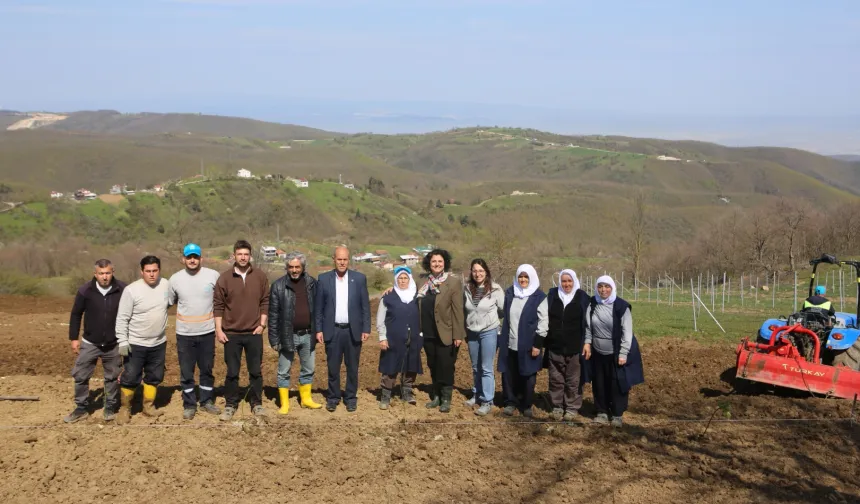 Bursa Nilüfer'de atıl araziler bereketleniyor