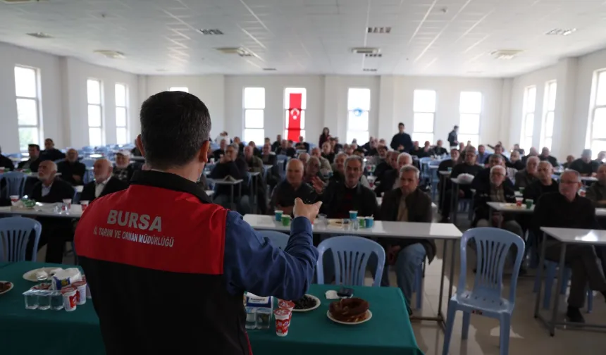 Bursa'da zeytinde yeni dönem... B-Reçete geliyor