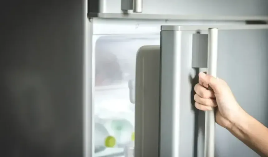 Buzdolabı üzerinde magnet kullananları uzmanlar uyardı!
