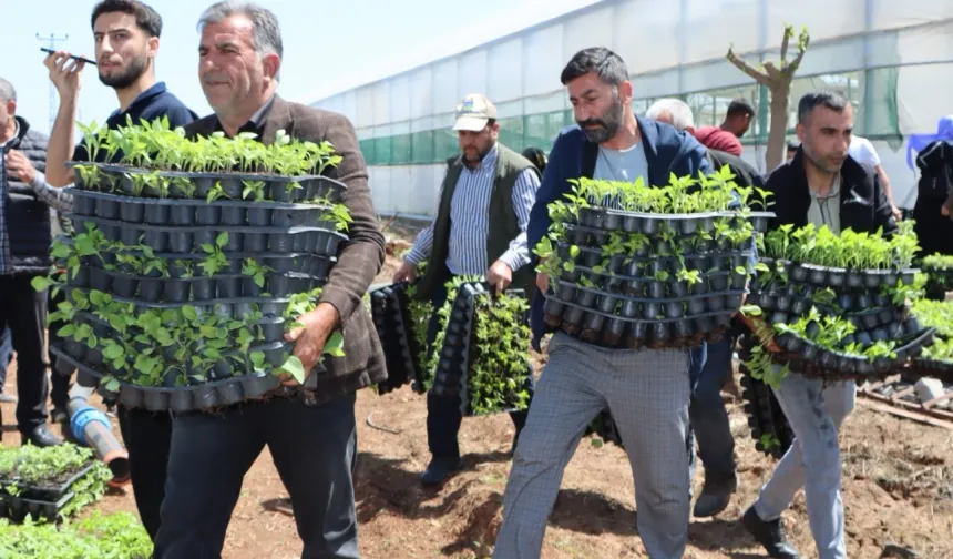 Çiftçiye 1 milyon fide desteği