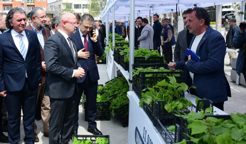 Kestel'de çiftçiye Ahududu desteği