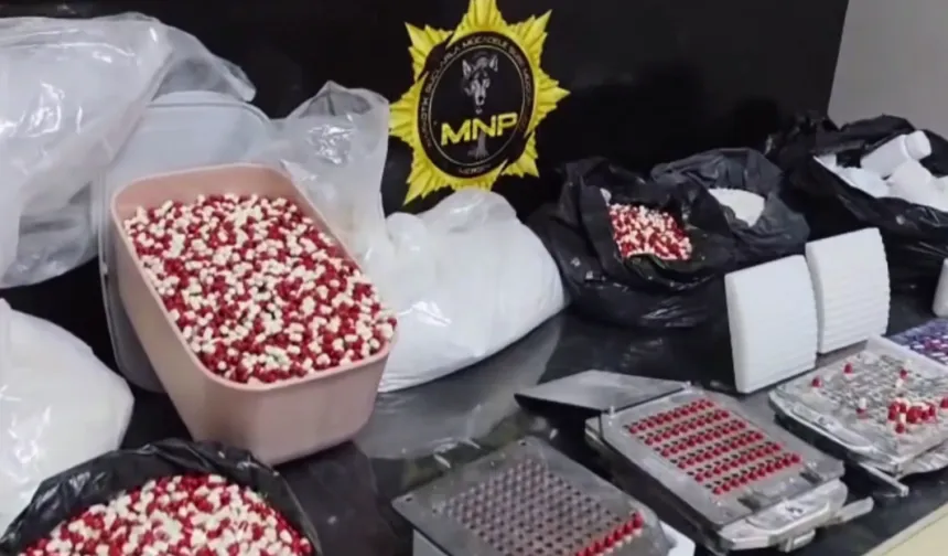 Mersin'de tonlarca sentetik ecza hammaddesi ele geçirildi