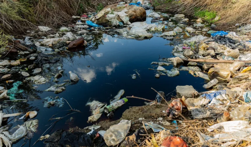 Prof. Dr. Ünüsan'dan mikroplastik uyarısı