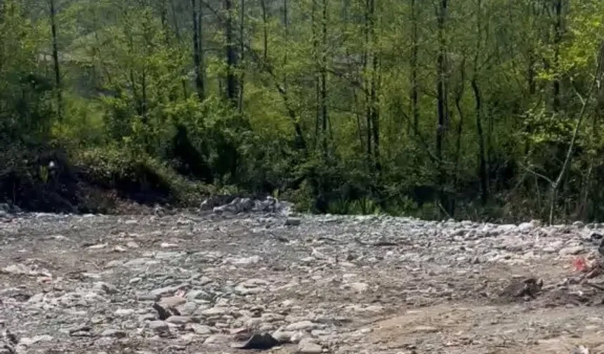 Rize'de vahşi depolamaya milyonluk ceza! Çevre'den suç duyurusu