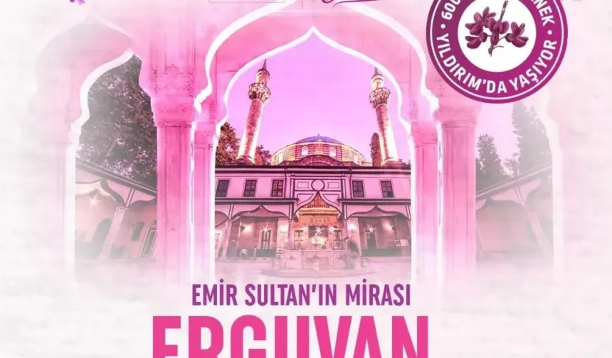 Bursa'da 600 yıllık Erguvan Bayramı geleneği yeniden hayat buluyor