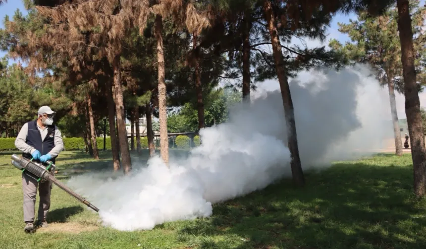 Belediyeden haşereye karşı seferberlik
