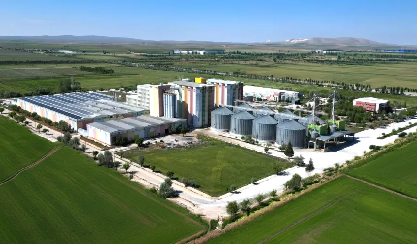 Golda Gıda'nın halka arzı onaylandı