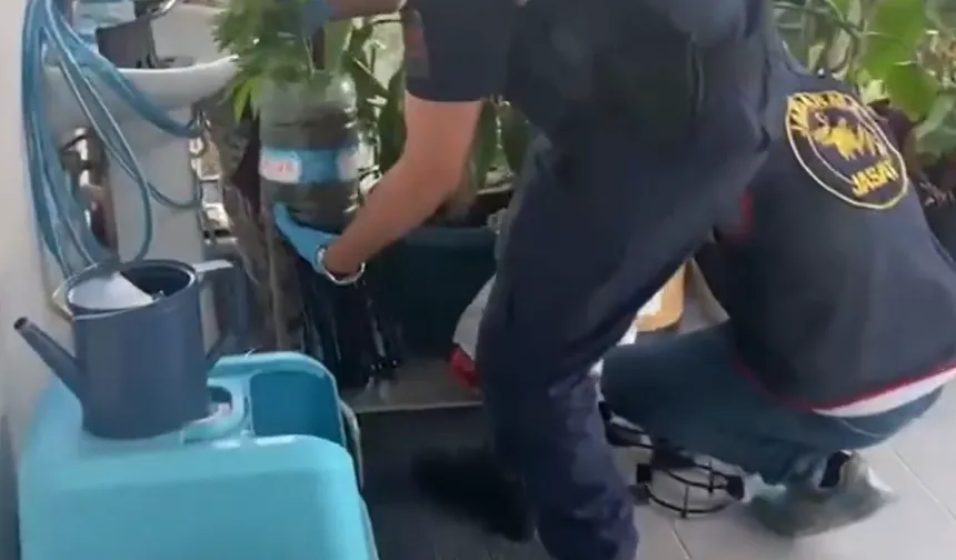 Jandarma'dan 5 ilde operasyon  341 gözaltı