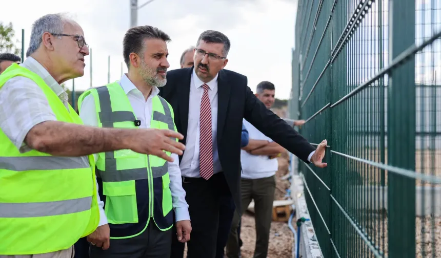 Bursa'da sokak hayvanları için doğal yaşam alanı