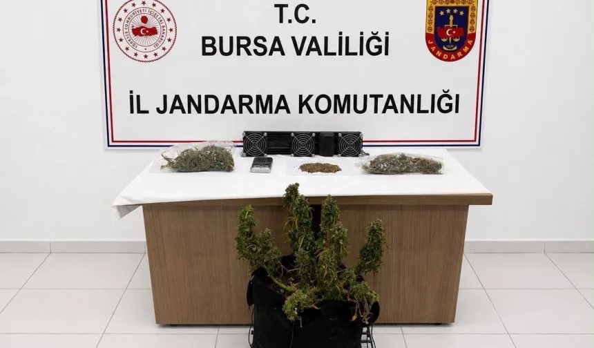 Bursa'da 3 ilçede operasyon! 3 gözaltı!