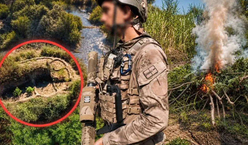 Diyarbakır'da operasyon... 387 bin 882 kök kenevir ve skunk ele geçirildi