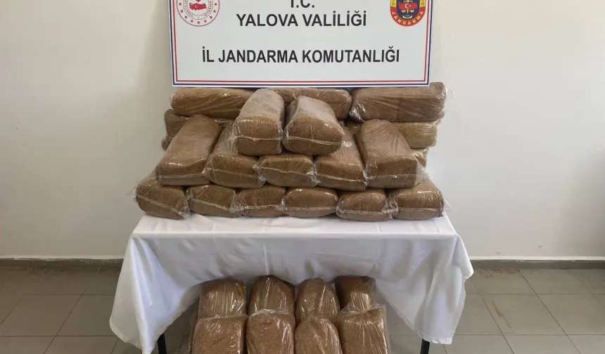 Yalova'da 160 kilogram bandrolsüz tütün ele geçirildi