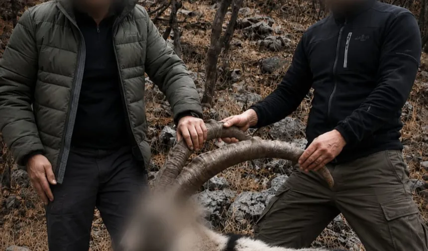 6 yıl önceki kaçak avın failleri tespit edildi!