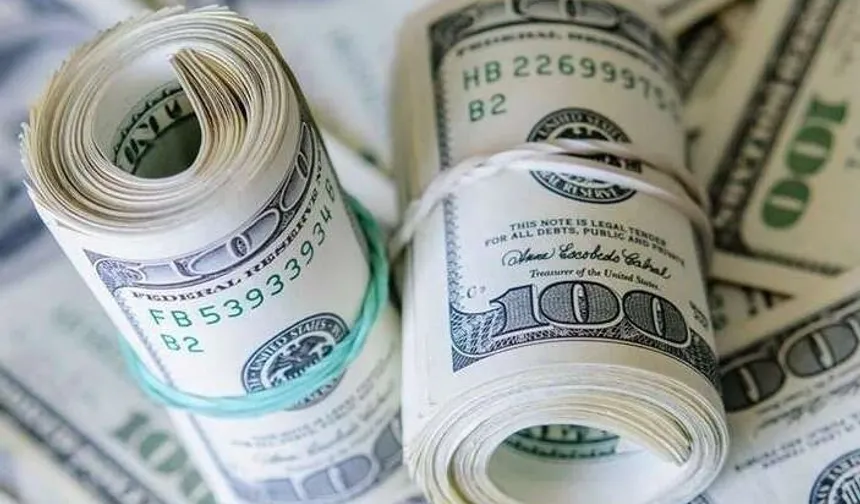 100 Dolar 10 Dolara düştü! Alım gücü yüzde 89 eridi