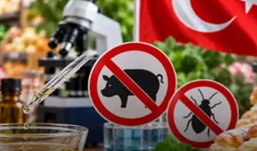 Aroma vericilere yeni düzenleme... Domuz ve böcek kaynaklı aroma vericiler yasaklandı