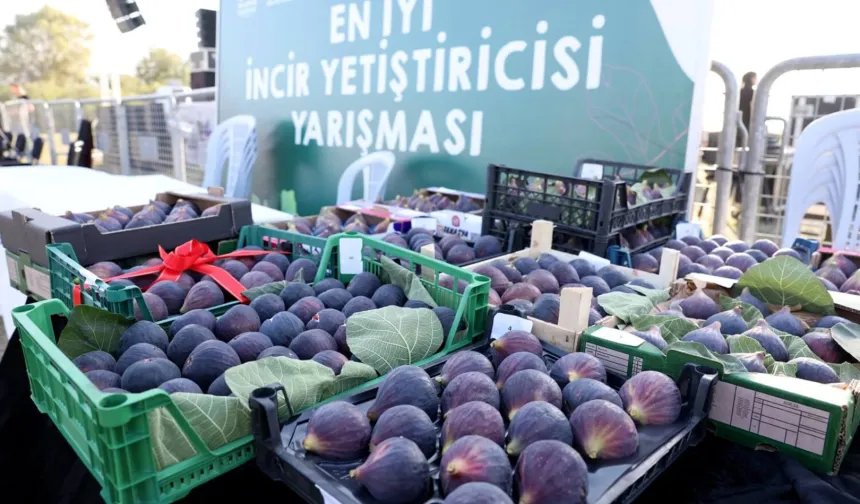 Bursa Nilüfer 12. Akçalar Fadıllı İncir Festivali'ne hazır