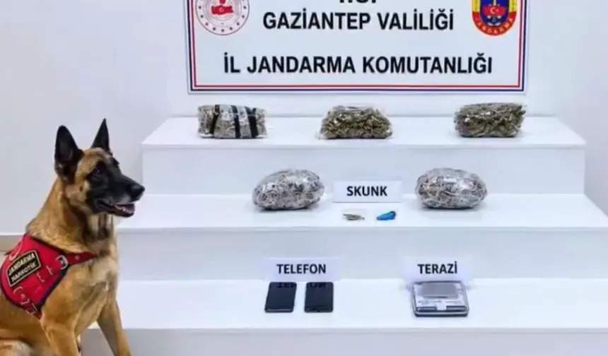 32 ilde yüzlerce kilo ele geçirildi