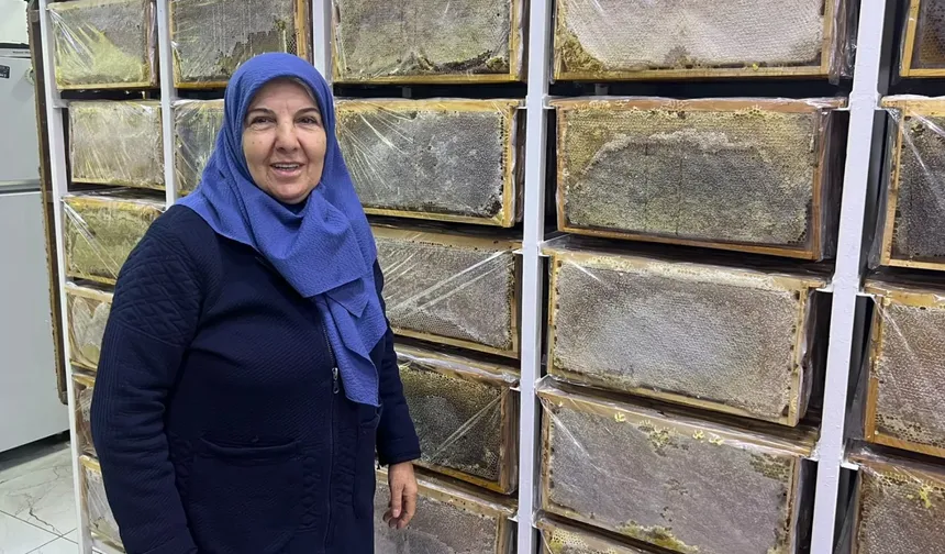 Ağrı'da arılar kışa hazırlanıyor... Arıcı Suzan Sürmeli anlattı