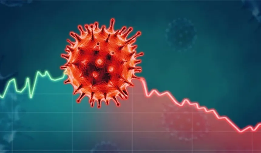 Ebola virüsü nedir, Türkiye'de ebola virüsü riski var mı?