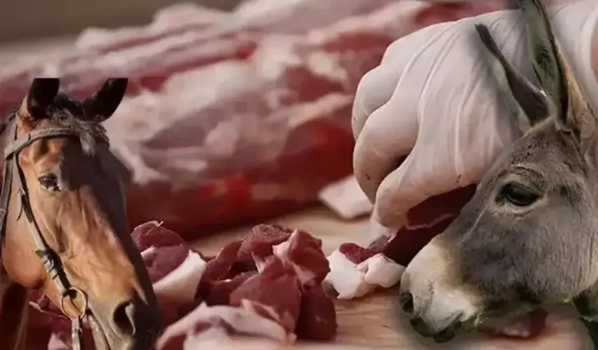 Bursa'nın en sevilen mekanında at-eşek eti skandalı! Acı Dayı Cantık Bakanlığın listesine girdi