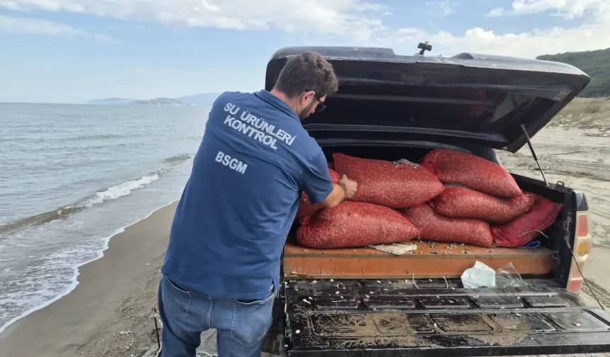 Mudanya Eğerce'de 2,7 ton kum şırlanı denize iade edildi!