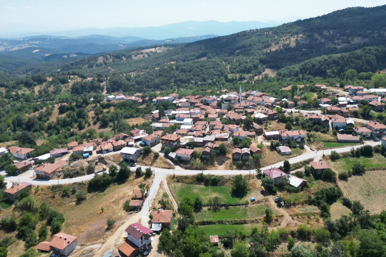 BURSA