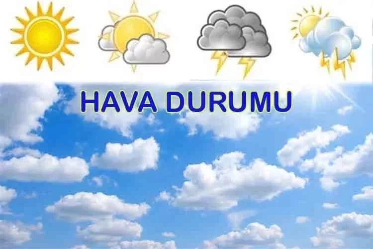 YAŞAM