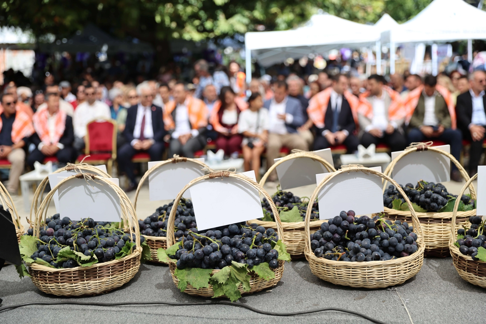 İzmir Karabağlar'da Kavacık Üzüm Festivali coşkusu