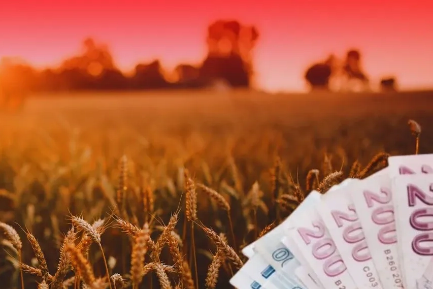 TMO'dan üreticiye 4,5 milyar TL'lik ödeme